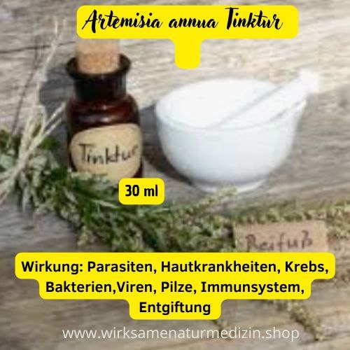 Artemisia annua Urtinktur 30 ml