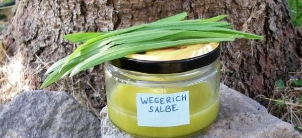 Spitzwegerich-Salbe 120 ml